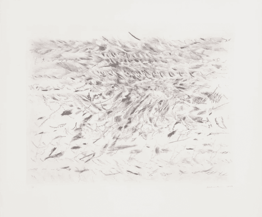 Artwork - Algorithms, Apparitions, and Translations - 1