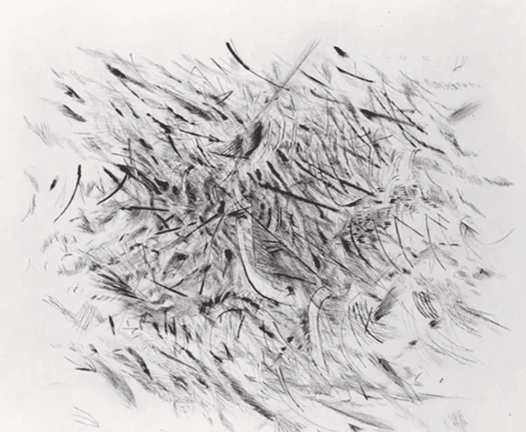 Artwork - Haka (From artists for Obama)