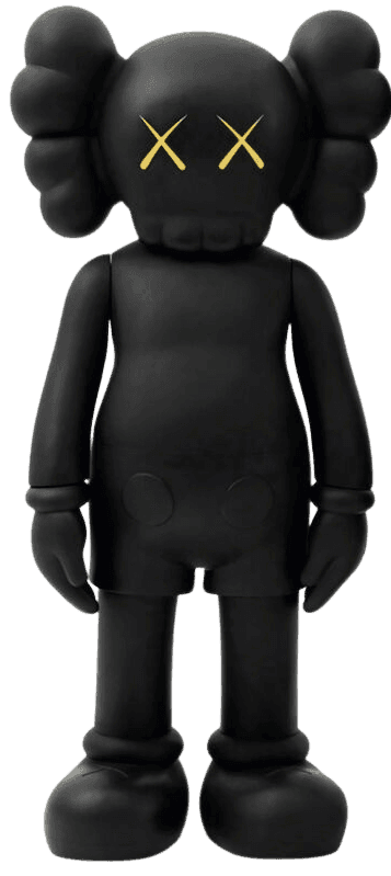 Artwork - 5YL Companion (2016 Black)