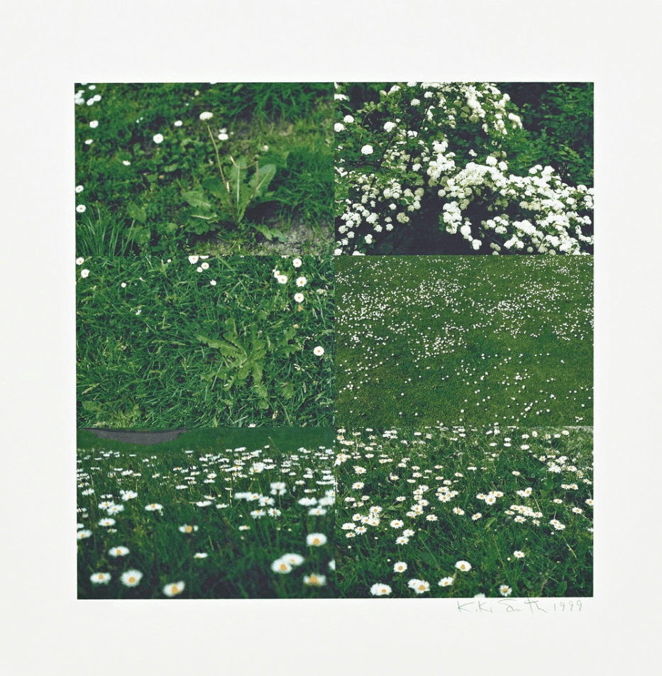 Artwork - Little Meadow