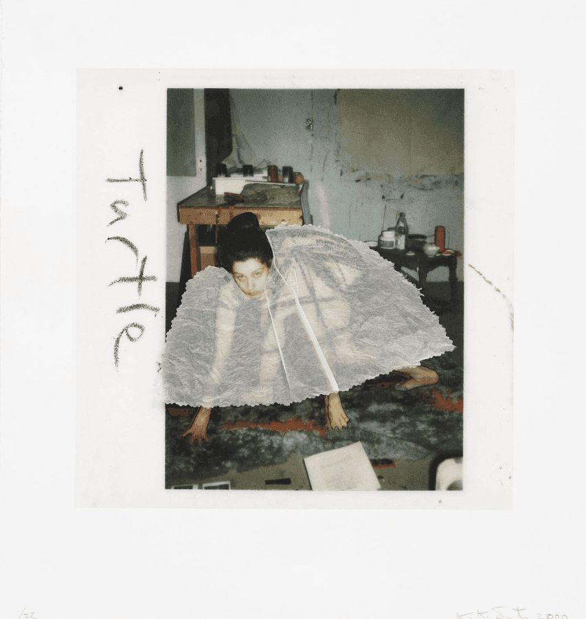 Artwork - Turtle