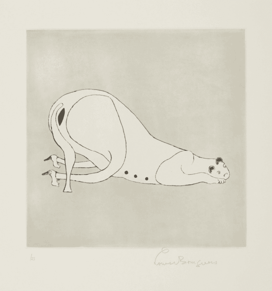 Artwork - Metamorfosis (Plate 1) (MoMA 490b)