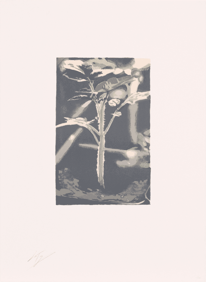 Artwork - Gene
