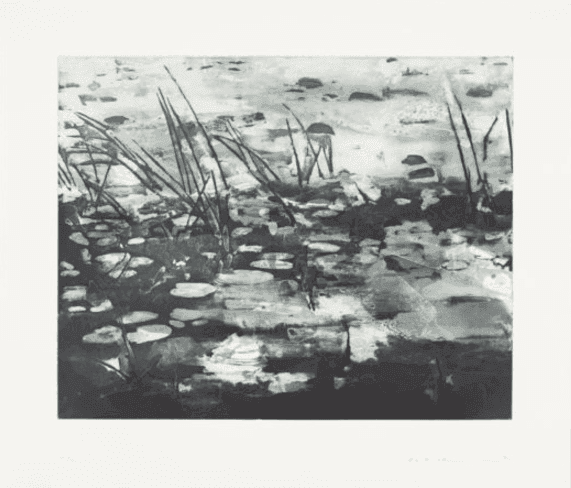 Artwork - Landscape I (Swamp)