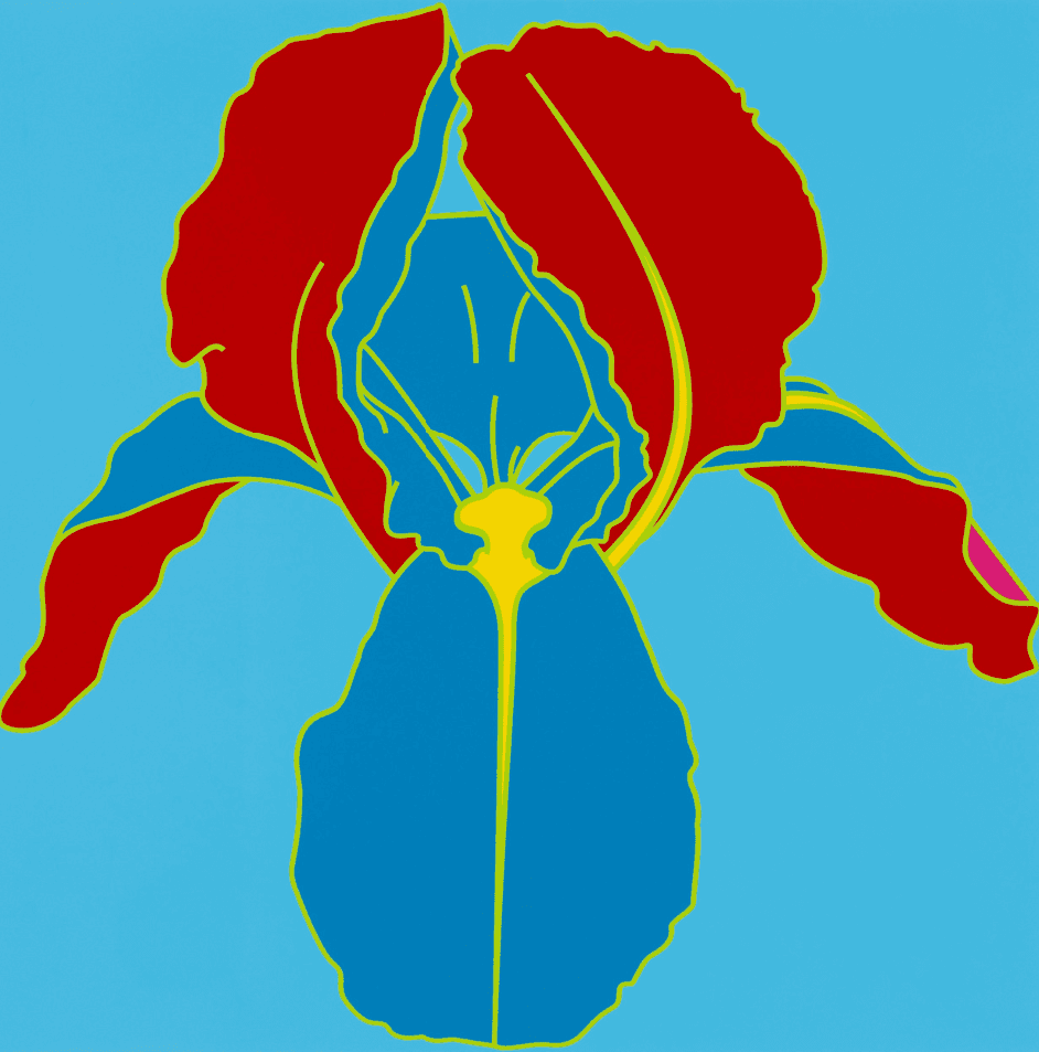 Artwork - Flowers - Iris