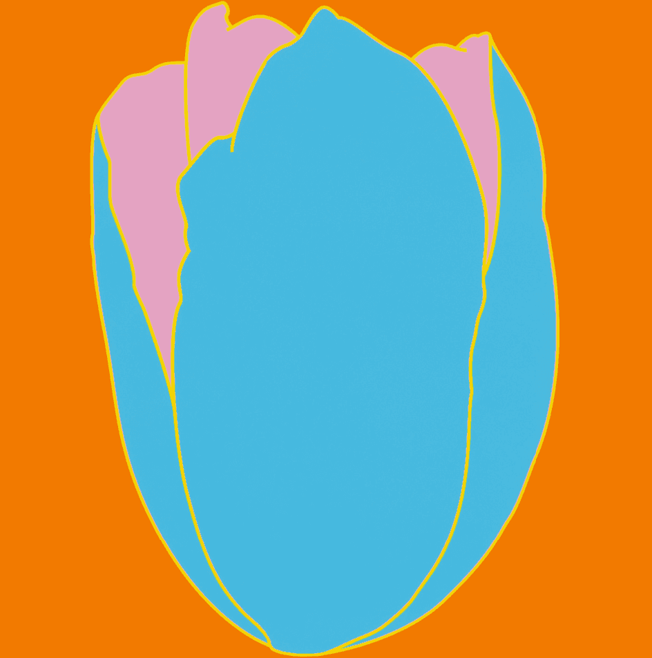 Artwork - Flowers - Tulip