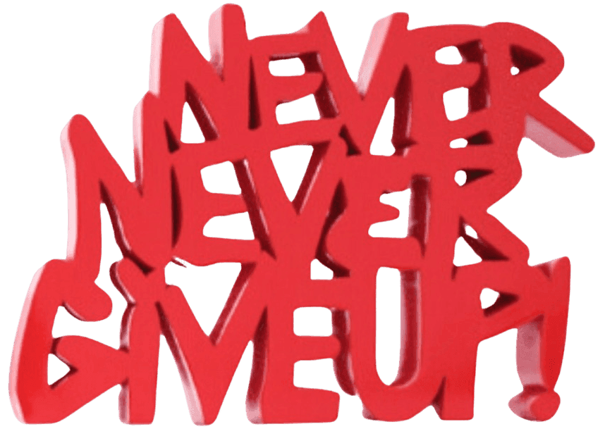 Artwork - Never, Never Give Up!