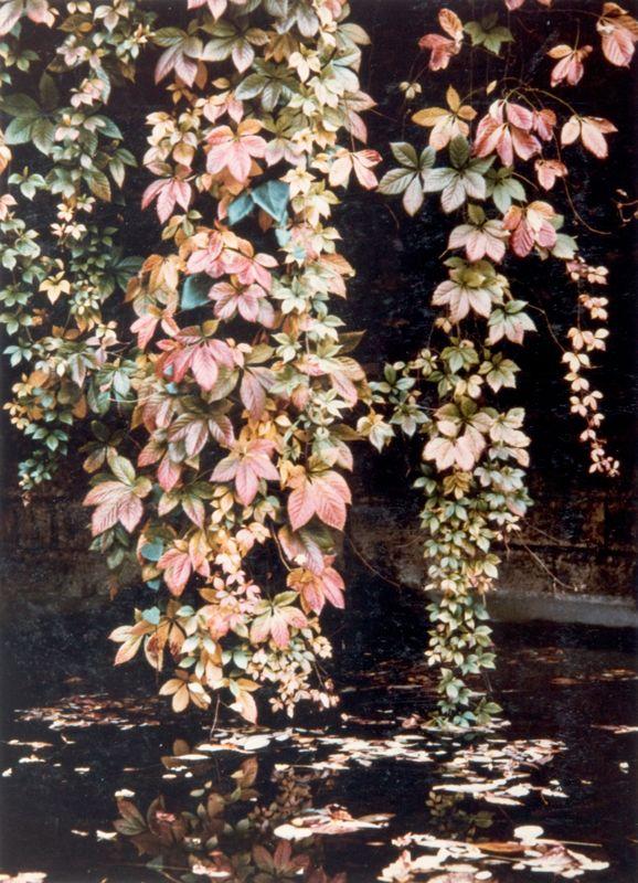 Artwork - Autumnal Fall