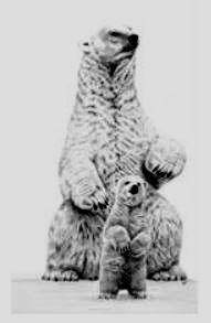 Artwork - Cold Feet