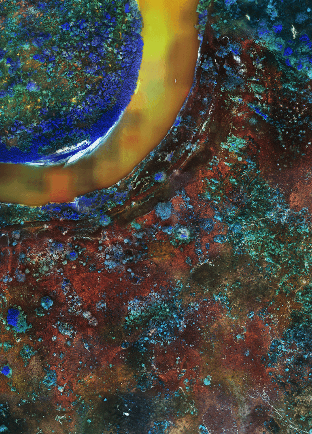 Artwork - Burnt Pantanal III
