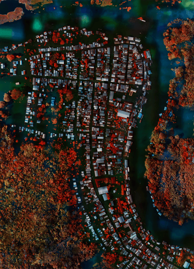 Artwork - Flooded Municipality, Amazonas