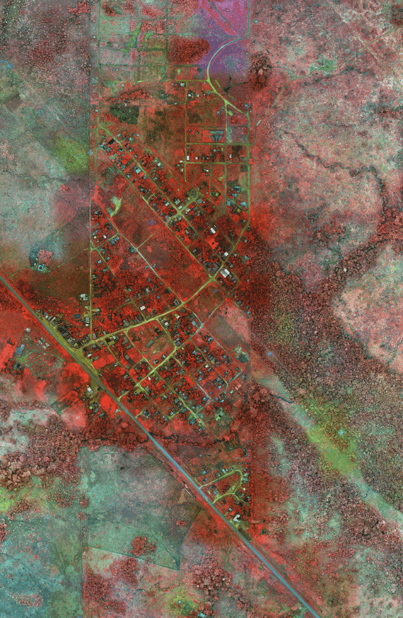 Artwork - For Dorothy Stang, near Anapu, Pará State