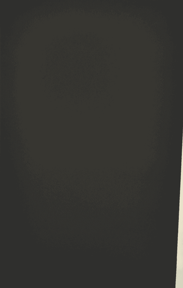 Artwork - Mandela