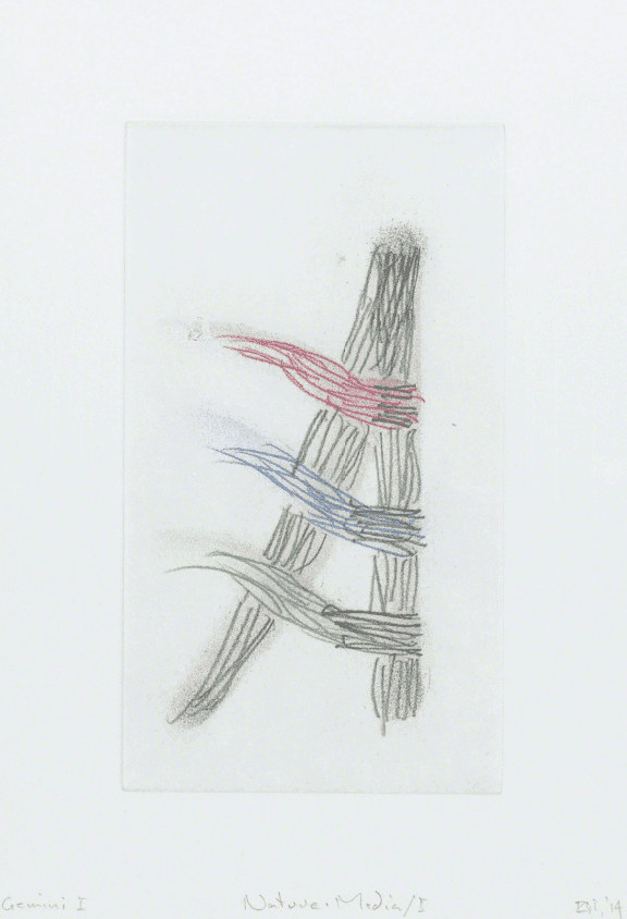 Artwork - Nature-Media I