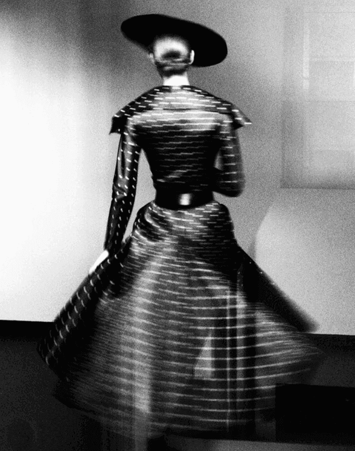 Artwork - Papillon by Christian Dior