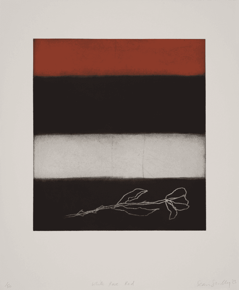 Artwork - White Rose Red