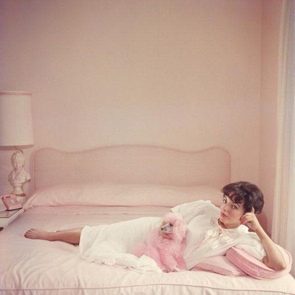 Artwork - Joan Collins Relaxes (Large)