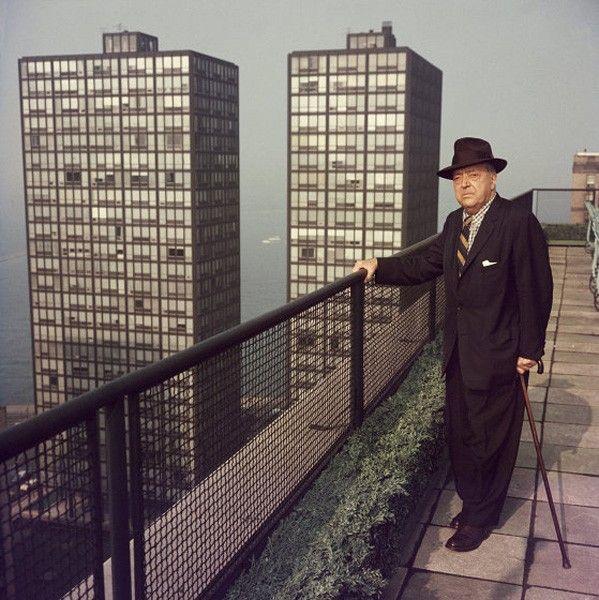Artwork - Mies in Chicago (Medium)