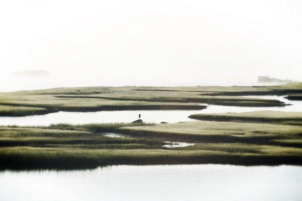 Artwork - Massachusetts Mist