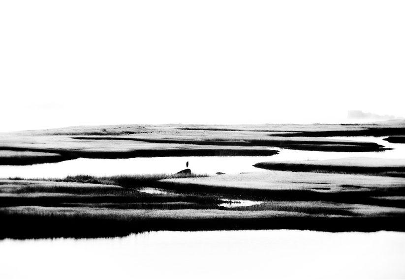 Artwork - Massachusetts Mist II