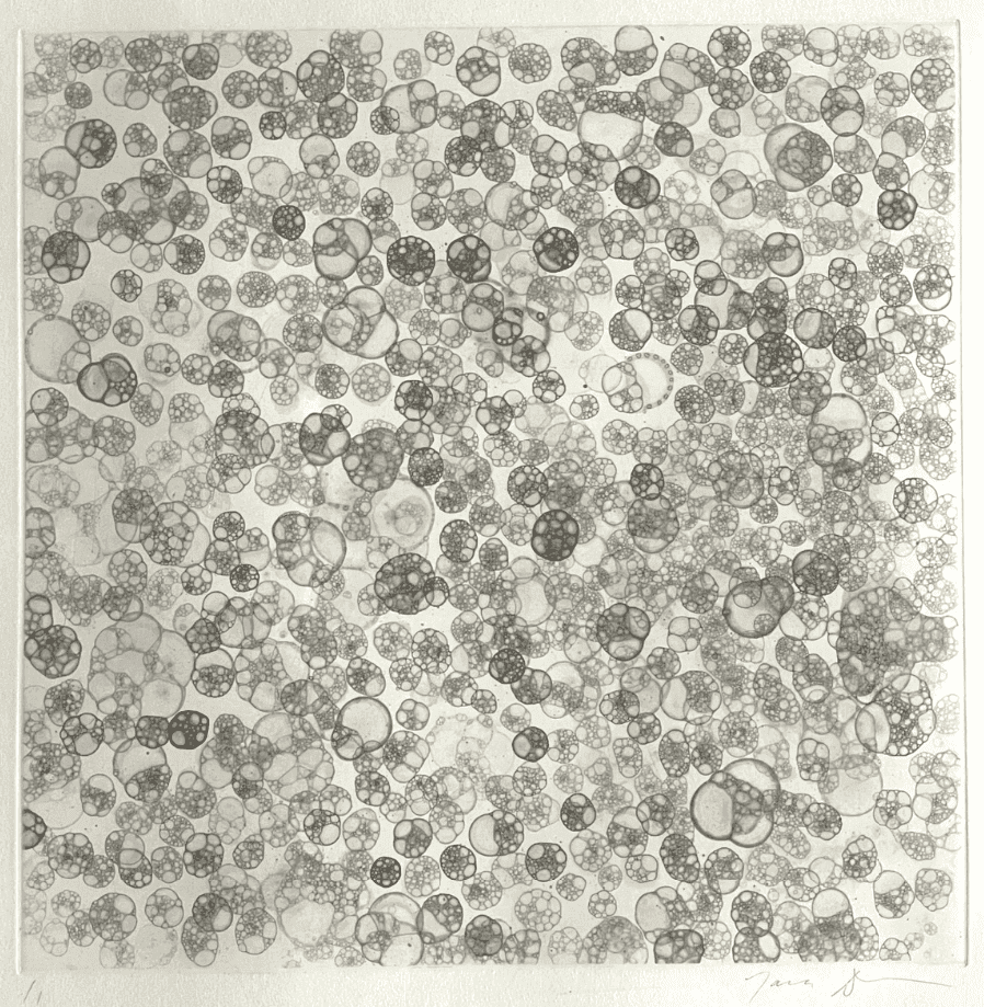Artwork - Bubble Drawing