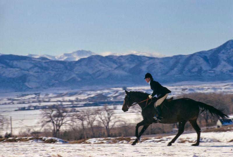 Artwork - A Horse Ride In The Snow
