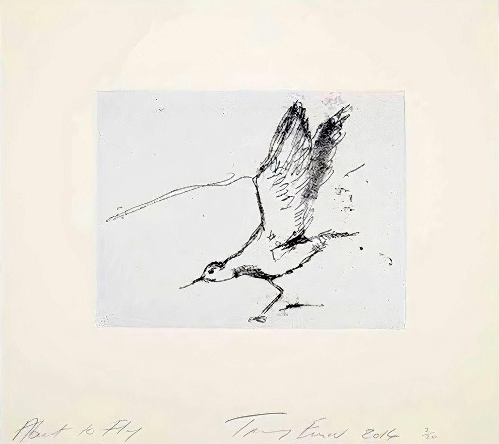 Artwork - About To Fly