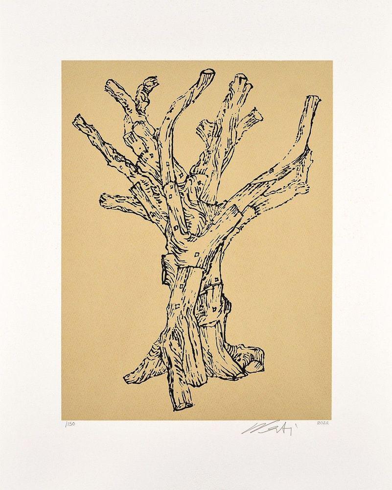 Artwork - Cedar