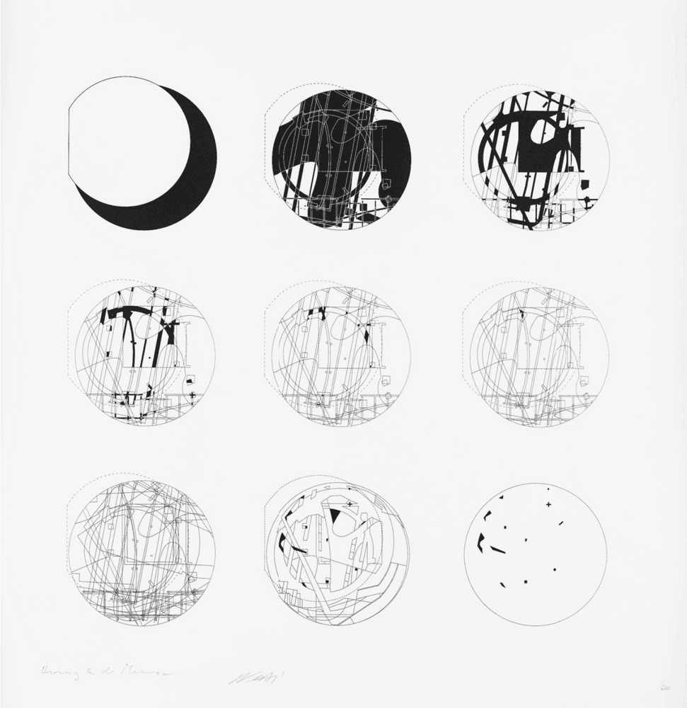 Artwork - Serpentine Gallery Pavillion 2012