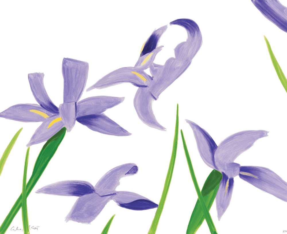 Artwork - Purple Irises on White