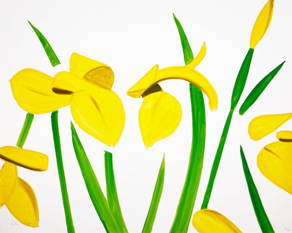 Artwork - Yellow Flags on White