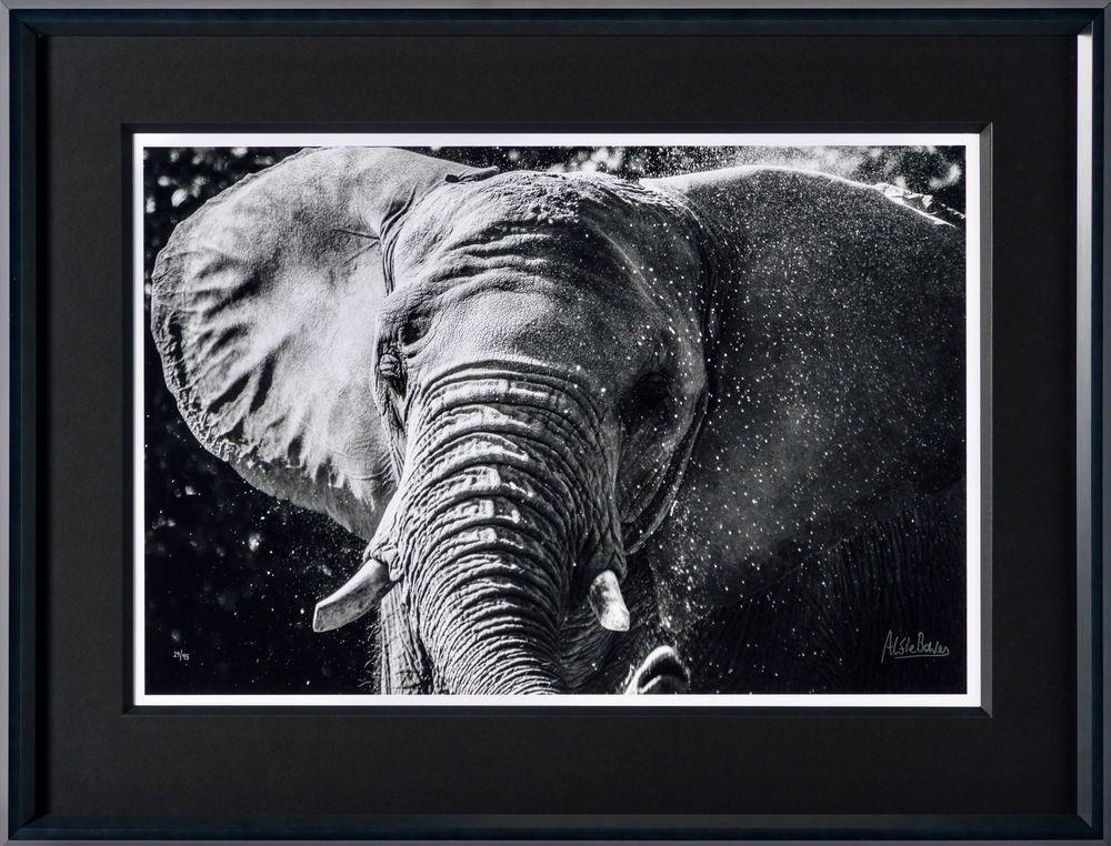 Artwork - Tusker