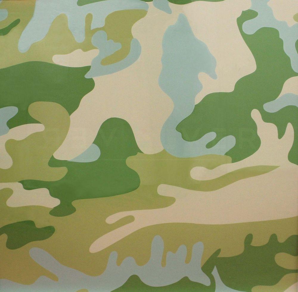 Artwork - Camouflage (FS II.407)
