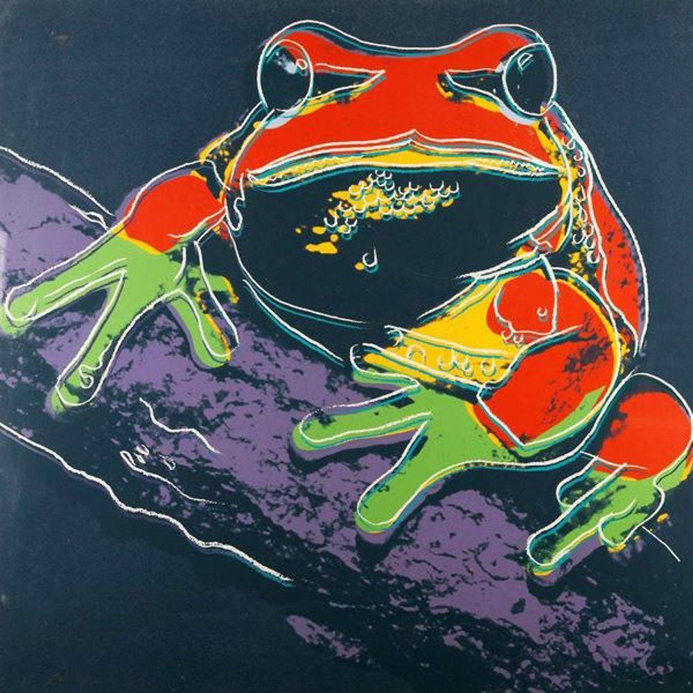 Artwork - Pine Barrens Tree Frog (FS II.294)