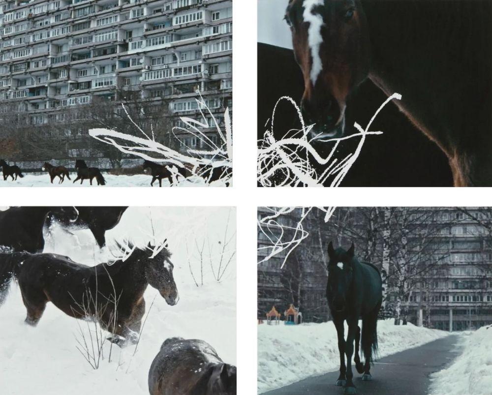 Artwork - YOUTH (Set of 4 Prints)