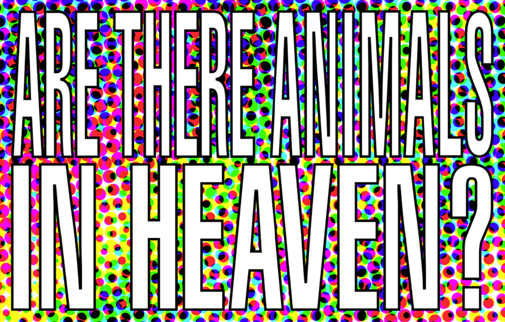 Artwork - Are There Animals In Heaven