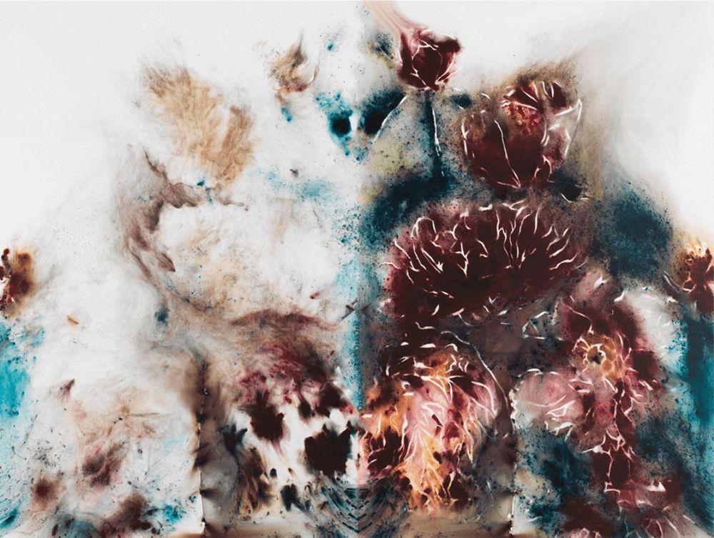 Artwork - Yin Yang Peonies