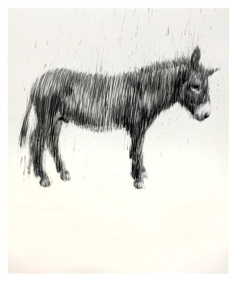 Artwork - Graphite Unidonkey