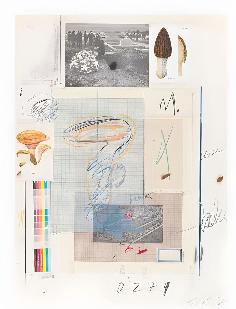 Artwork - Natural History Part I, Mushrooms Plate VII