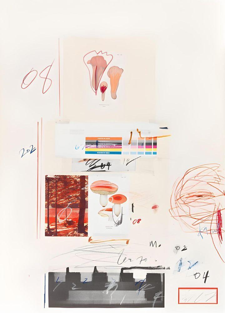 Artwork - Natural History Part I, Mushrooms Plate V