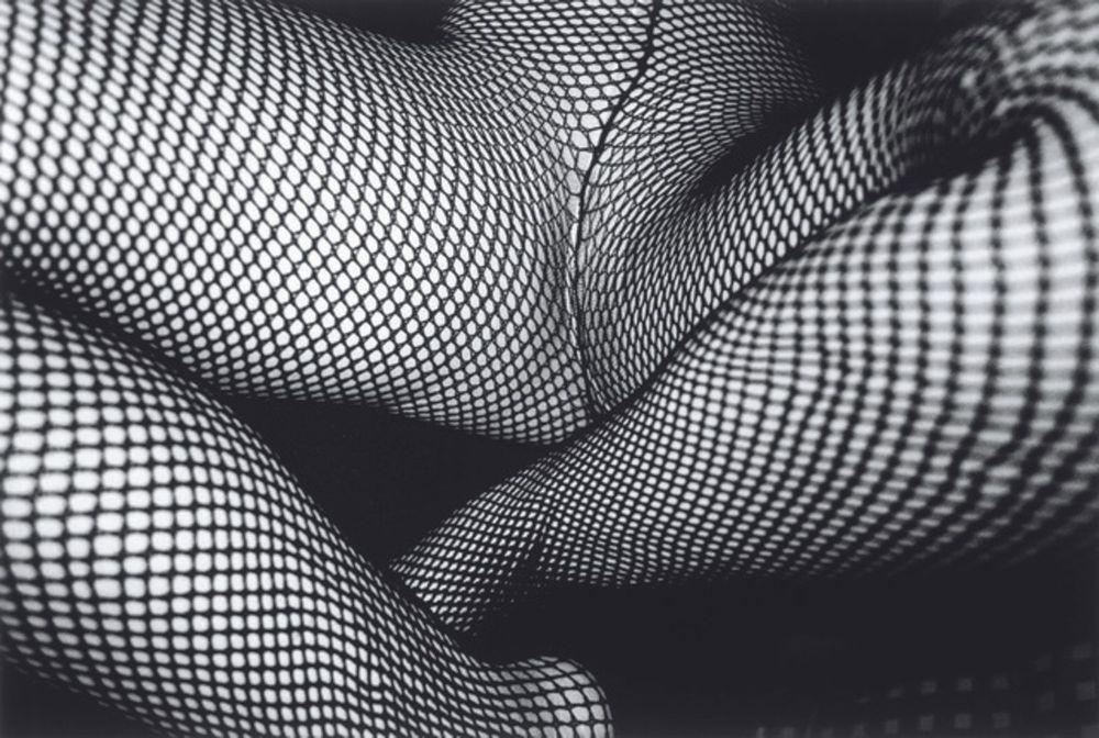 Artwork - Tights XVI