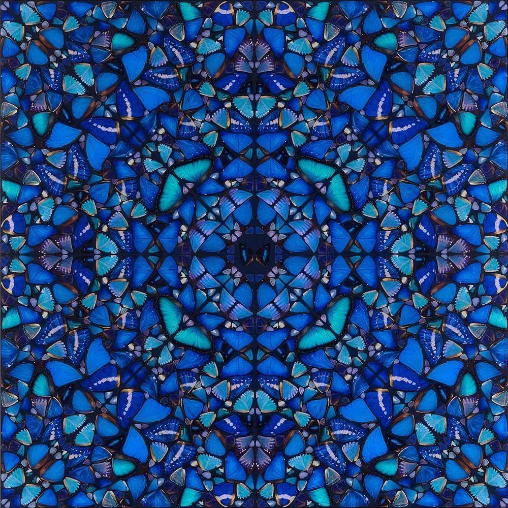 Artwork - Patience (H6 3)