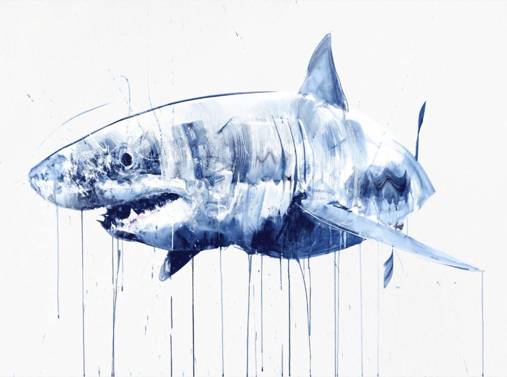 Artwork - Great White XXL