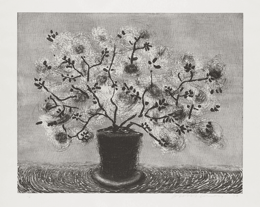 Artwork - Black Wire Plant