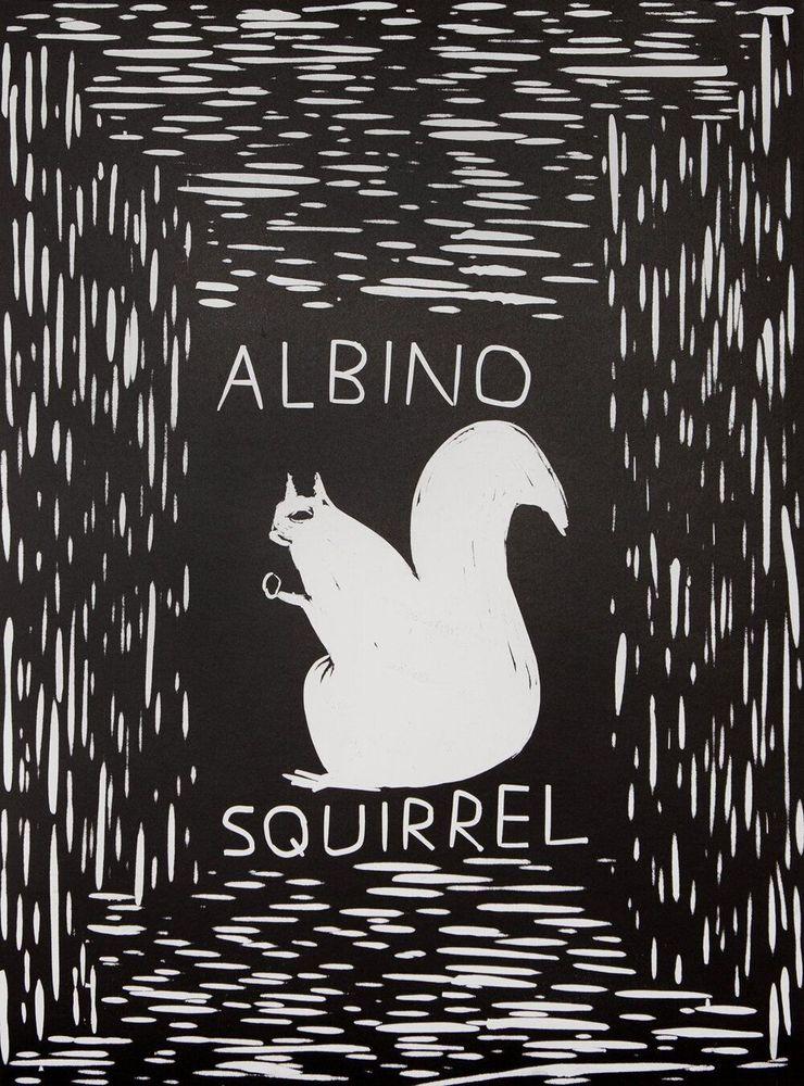 Artwork - Albino Squirrel