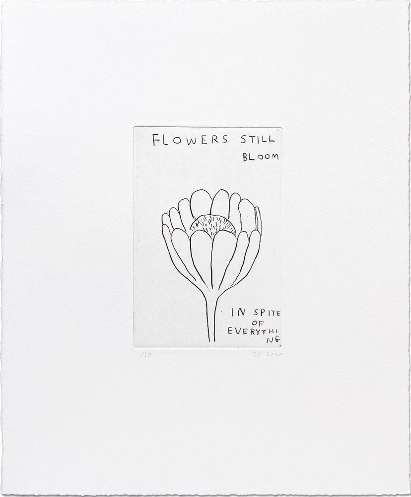 Artwork - Flowers Still Bloom