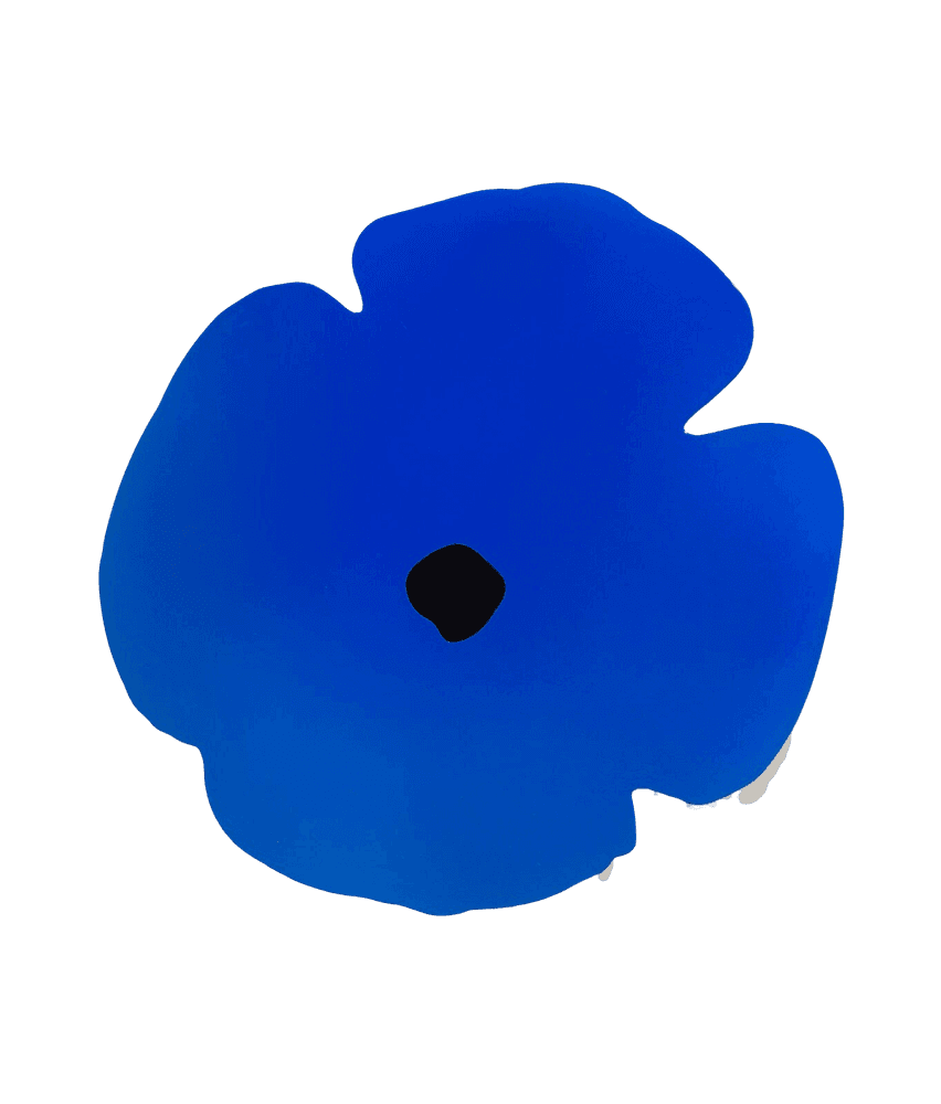 Artwork - Blue Wall Poppy, August 13, 2020