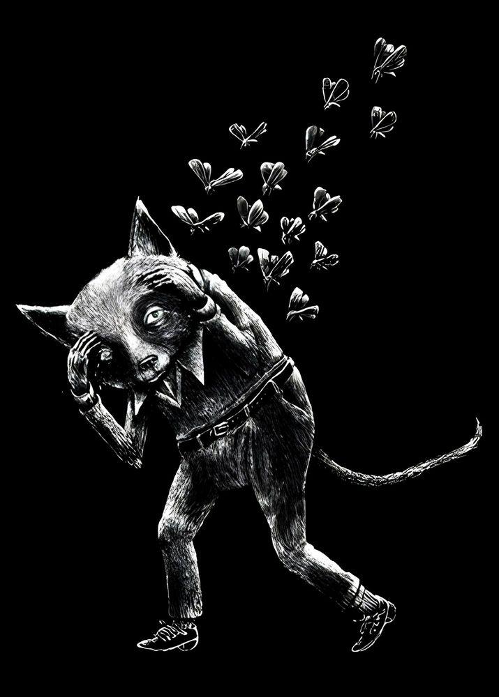 Artwork - Il Gatto