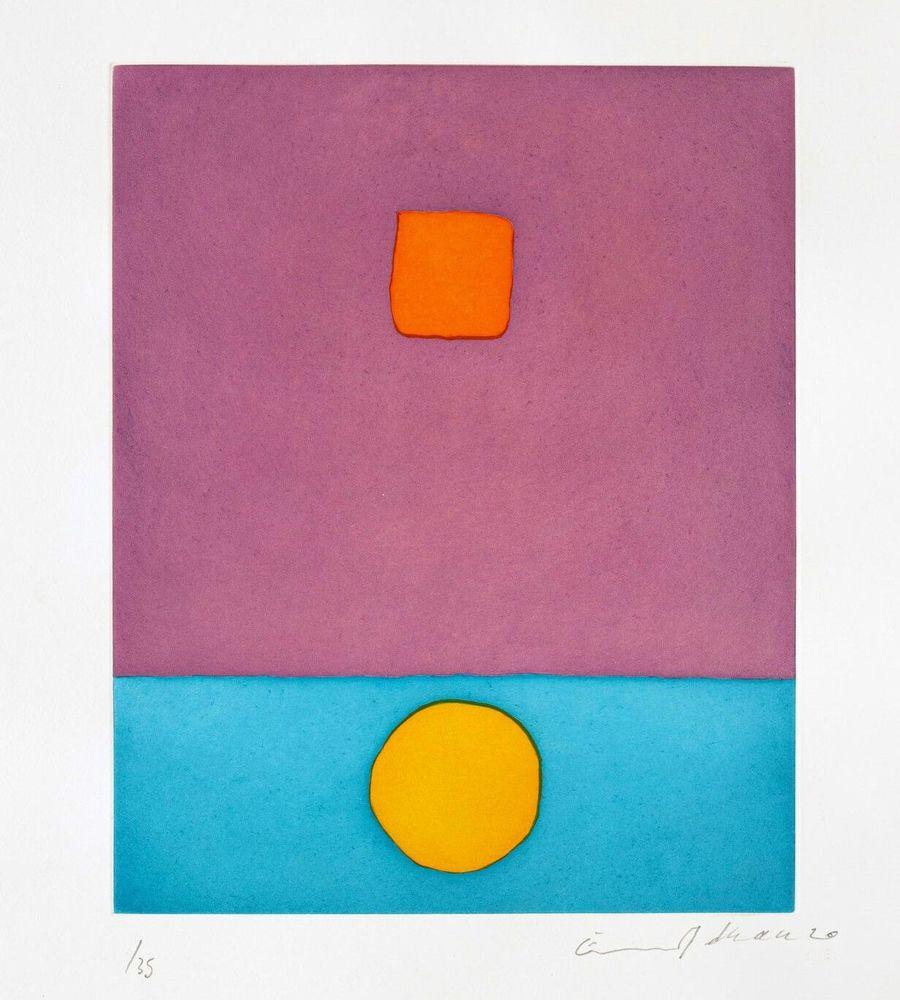 Artwork - Le Soleil a Vécu