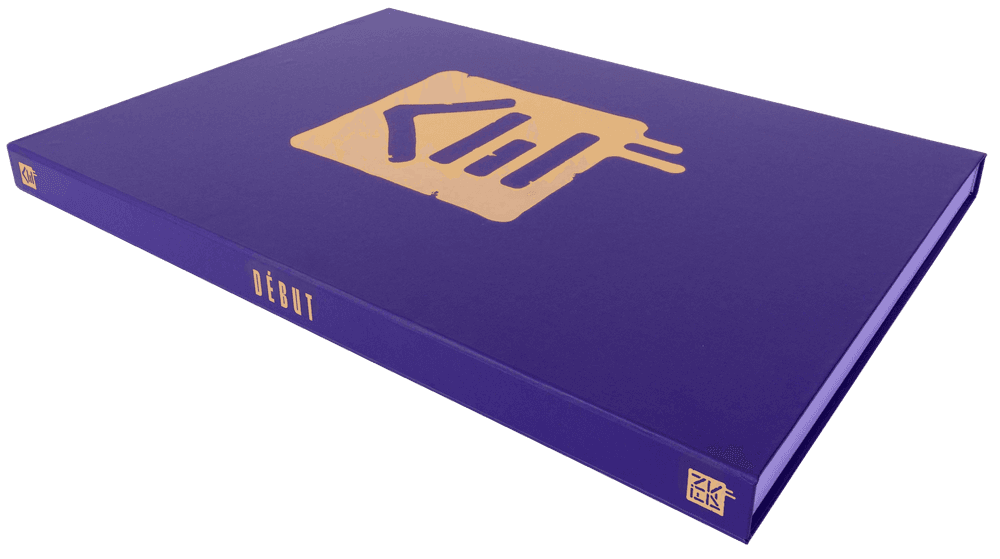 Artwork - Debut - HomEage Box Set